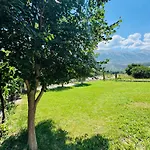 Vakantiehuis Meadow Of Stars House