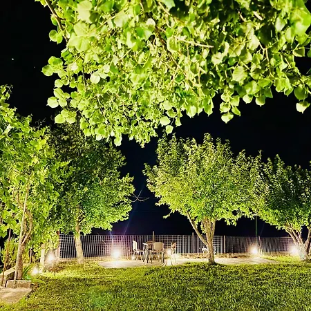 Meadow Of Stars House