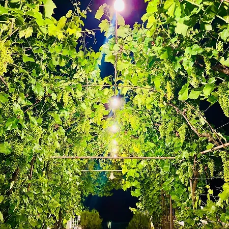 Meadow Of Stars House *