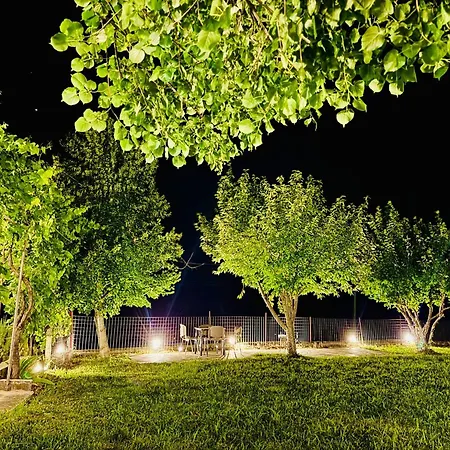 Meadow Of Stars House