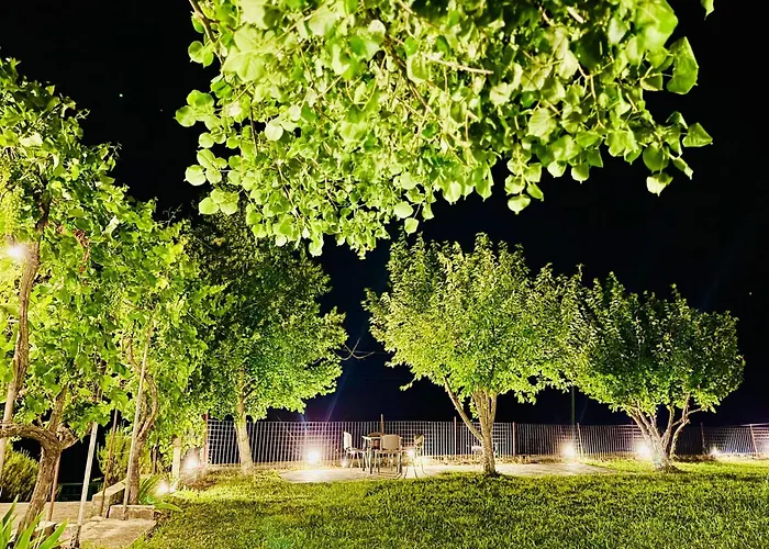Meadow Of Stars House