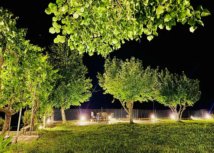 Meadow Of Stars House